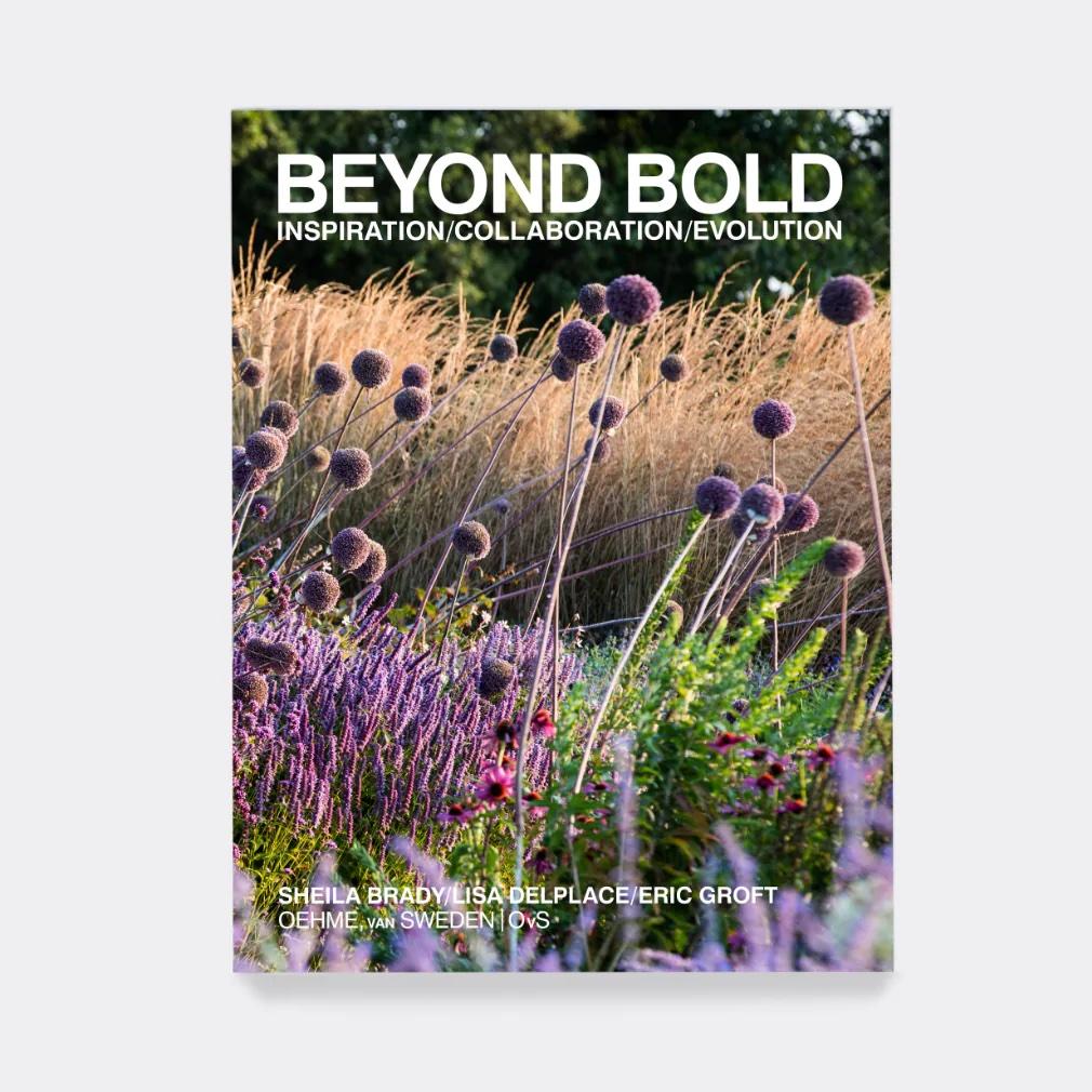 Beyond Bold