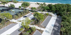 Williams/Forsyth Spring Bioblitz